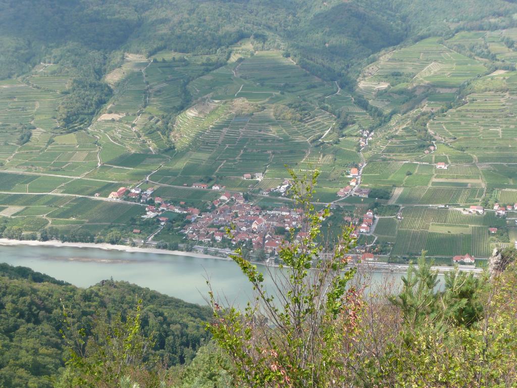 Weingut Langmayer Wosendorf in der Wachau Exterior photo